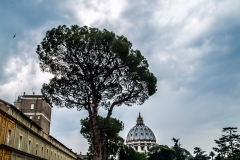 2011 Vaticaly City Italy