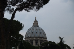 2011 Vaticaly City Italy