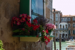 2011 Venice Italy