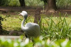 National Zoo
