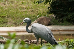 National Zoo