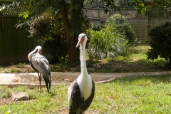 National Zoo