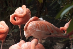 National Zoo