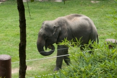 National Zoo