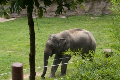 National Zoo