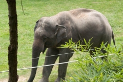 National Zoo