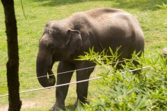 National Zoo