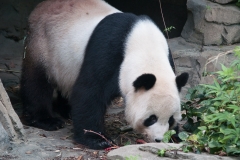 National Zoo