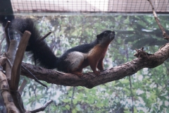 National Zoo