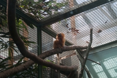 National Zoo