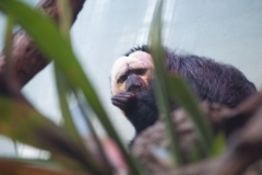 National Zoo