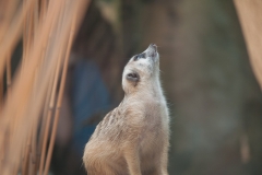 National Zoo
