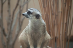 National Zoo