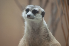 National Zoo