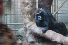 National Zoo