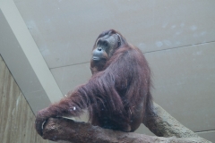 National Zoo