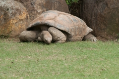 National Zoo
