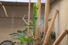 National Zoo