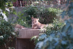 National Zoo