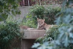 National Zoo