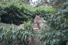 National Zoo