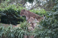 National Zoo