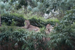 National Zoo