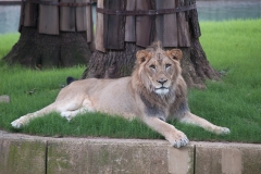 National Zoo