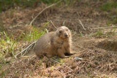 National Zoo
