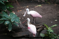 National Zoo