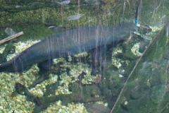 National Zoo