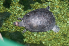 National Zoo