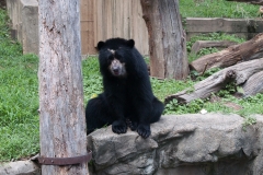 National Zoo