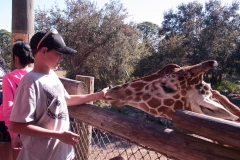 2012-11 Brevard Zoon