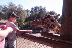 2012-11 Brevard Zoon