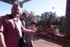 2012-11 Brevard Zoon