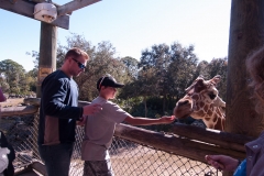 2012-11 Brevard Zoon