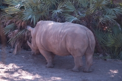 2012-11 Brevard Zoon