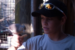 2012-11 Brevard Zoon