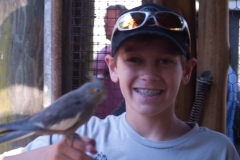 2012-11 Brevard Zoon