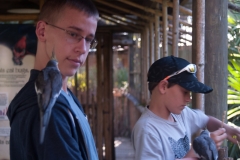 2012-11 Brevard Zoon