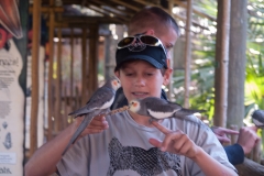 2012-11 Brevard Zoon