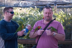 2012-11 Brevard Zoon