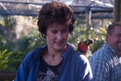 2012-11 Brevard Zoon