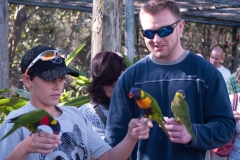 2012-11 Brevard Zoon