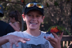 2012-11 Brevard Zoon