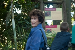 2012-11 Brevard Zoon