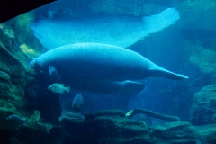 DSCN0756