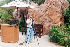 2013-12-11 WDW Christmas