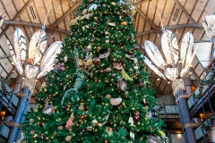 2013-12-11 WDW Christmas